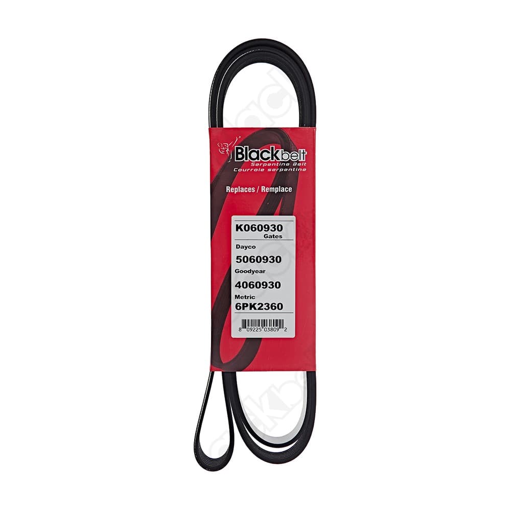 Serpentine Belt K060930