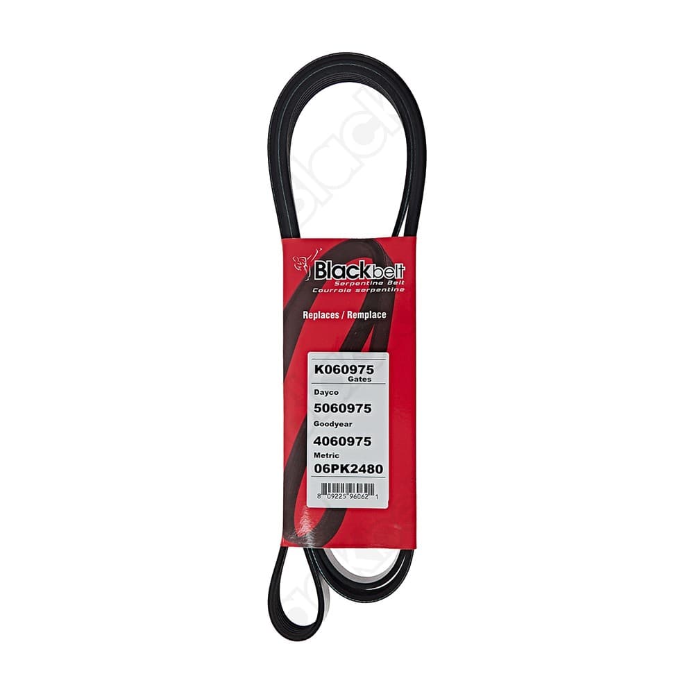 Serpentine Belt K060975