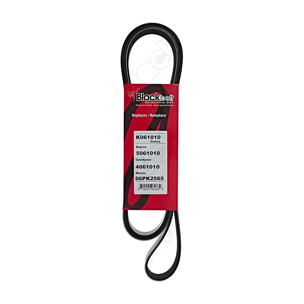 Serpentine Belt K061010