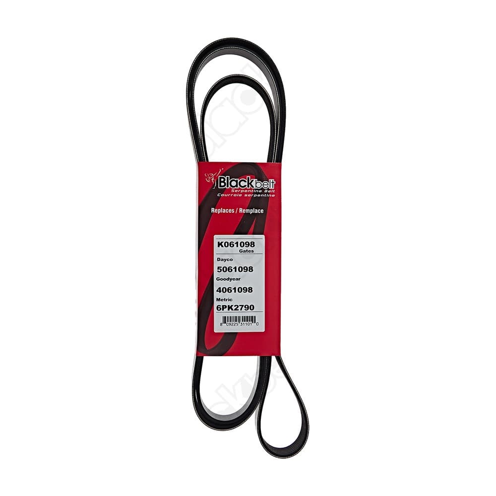 Serpentine Belt K061098