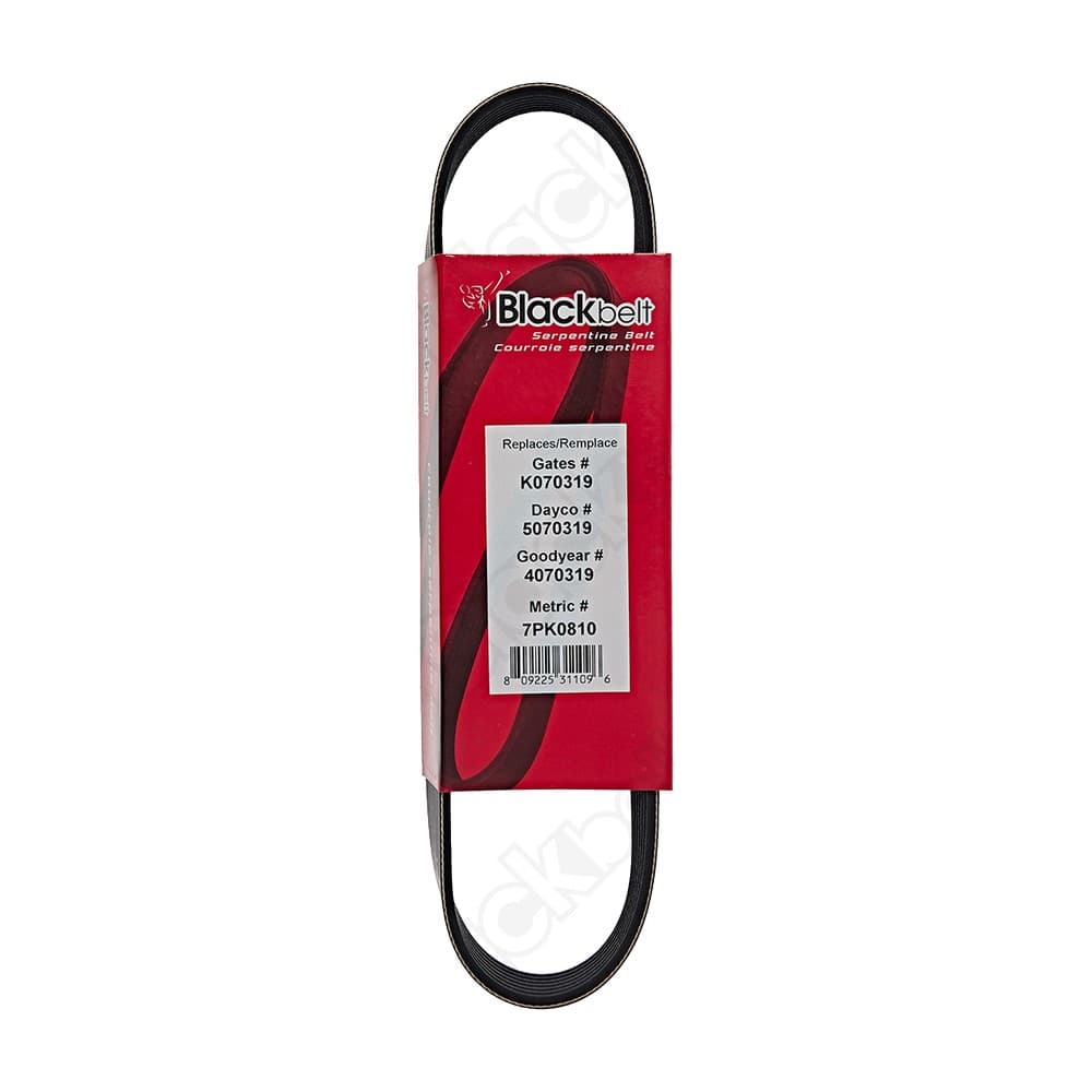 Serpentine Belt K070319