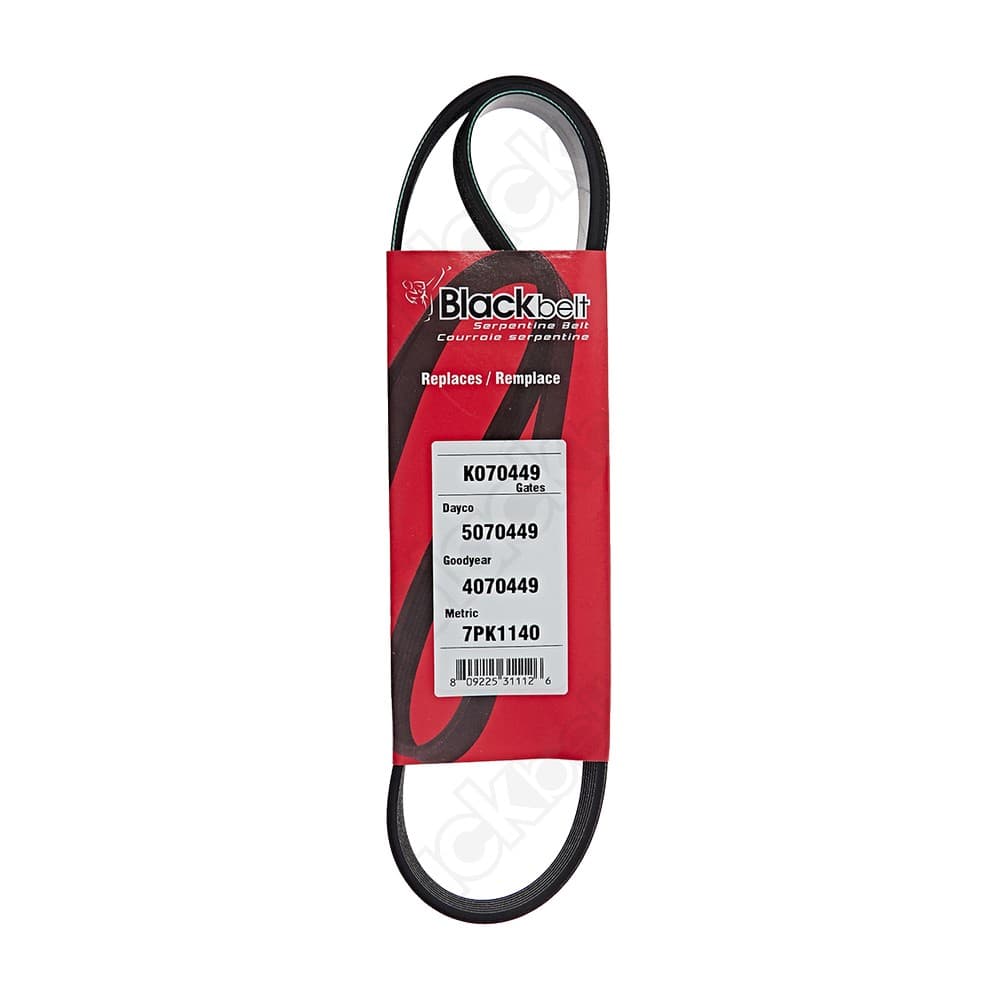 Serpentine Belt K070449