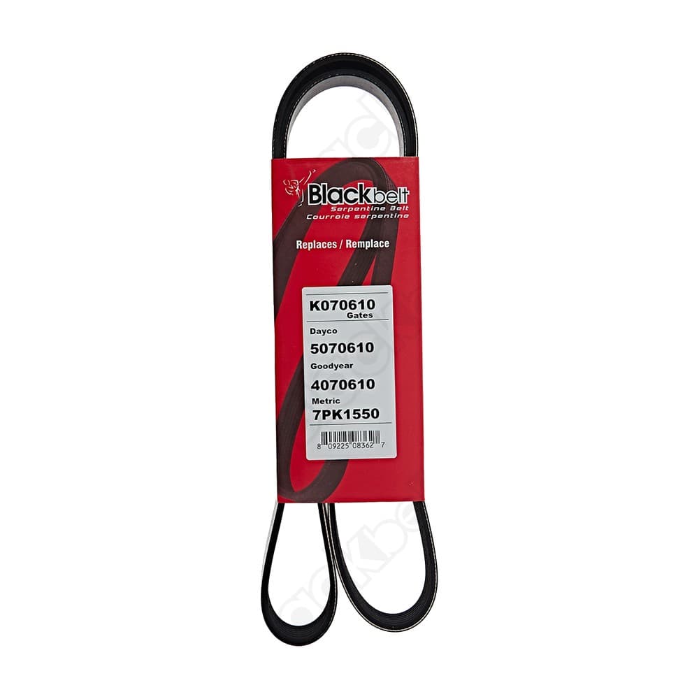 Serpentine Belt K070610