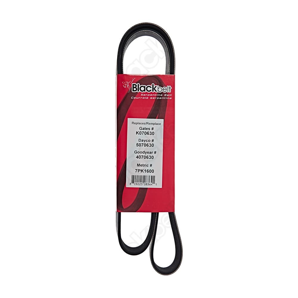 Serpentine Belt K070630