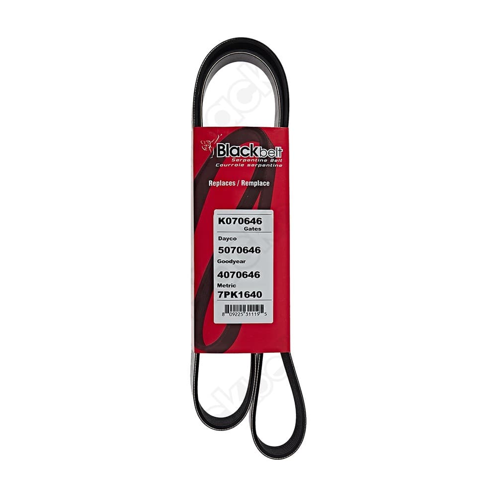 Serpentine Belt K070646