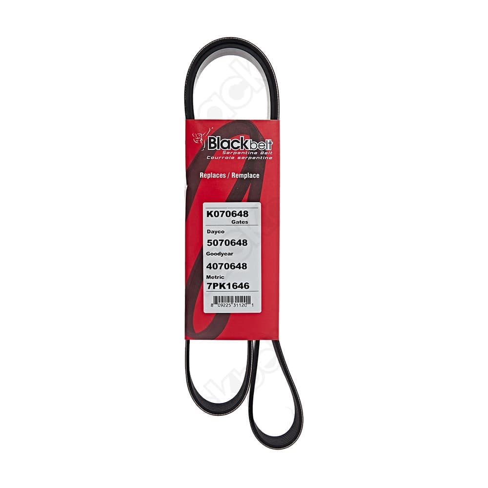 Serpentine Belt K070648