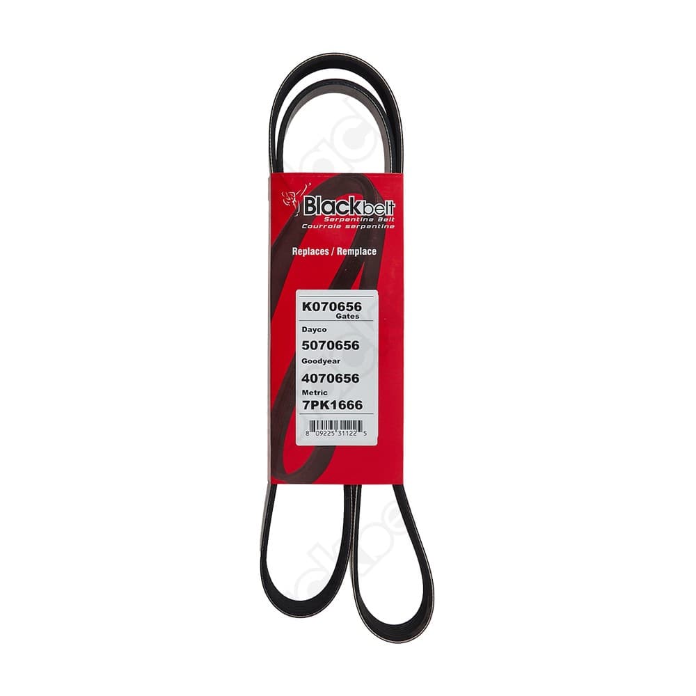 Serpentine Belt K070656