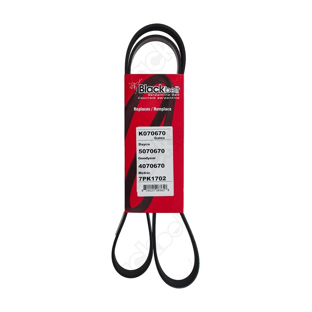 Serpentine Belt K070670