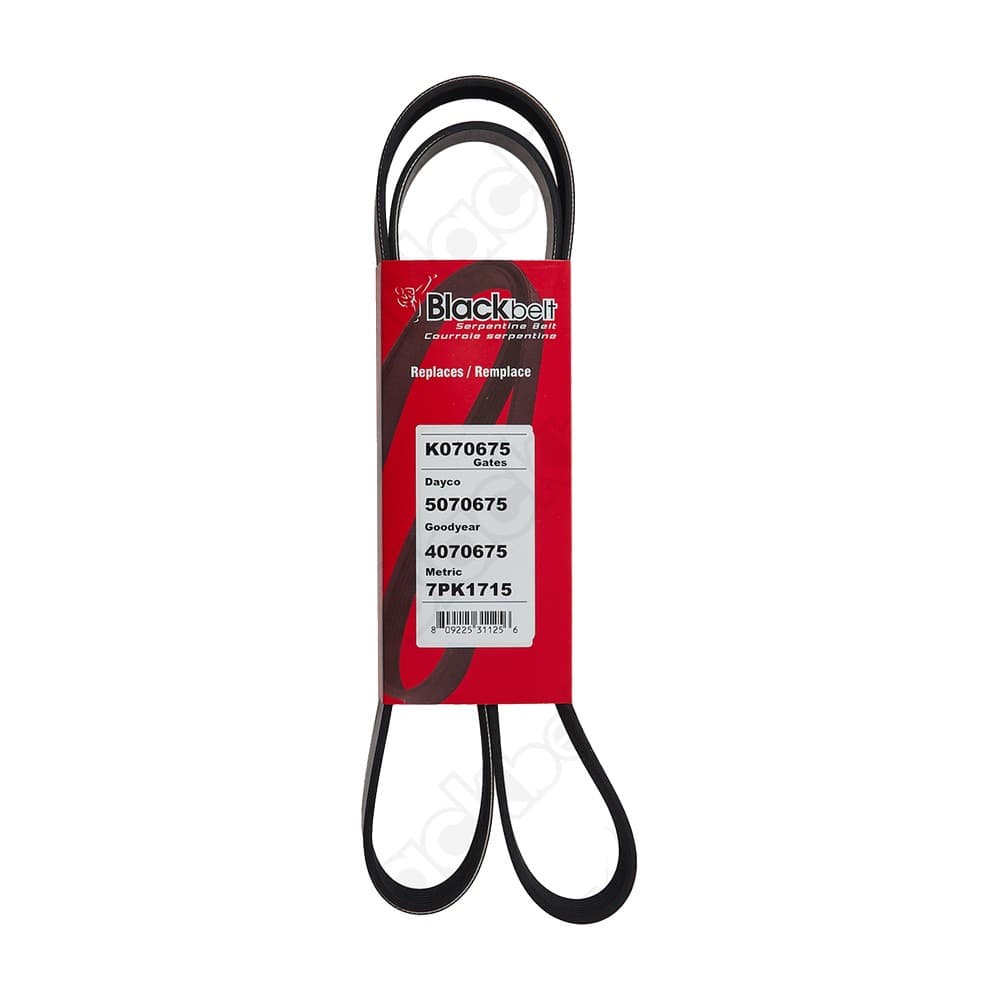 Serpentine Belt K070675