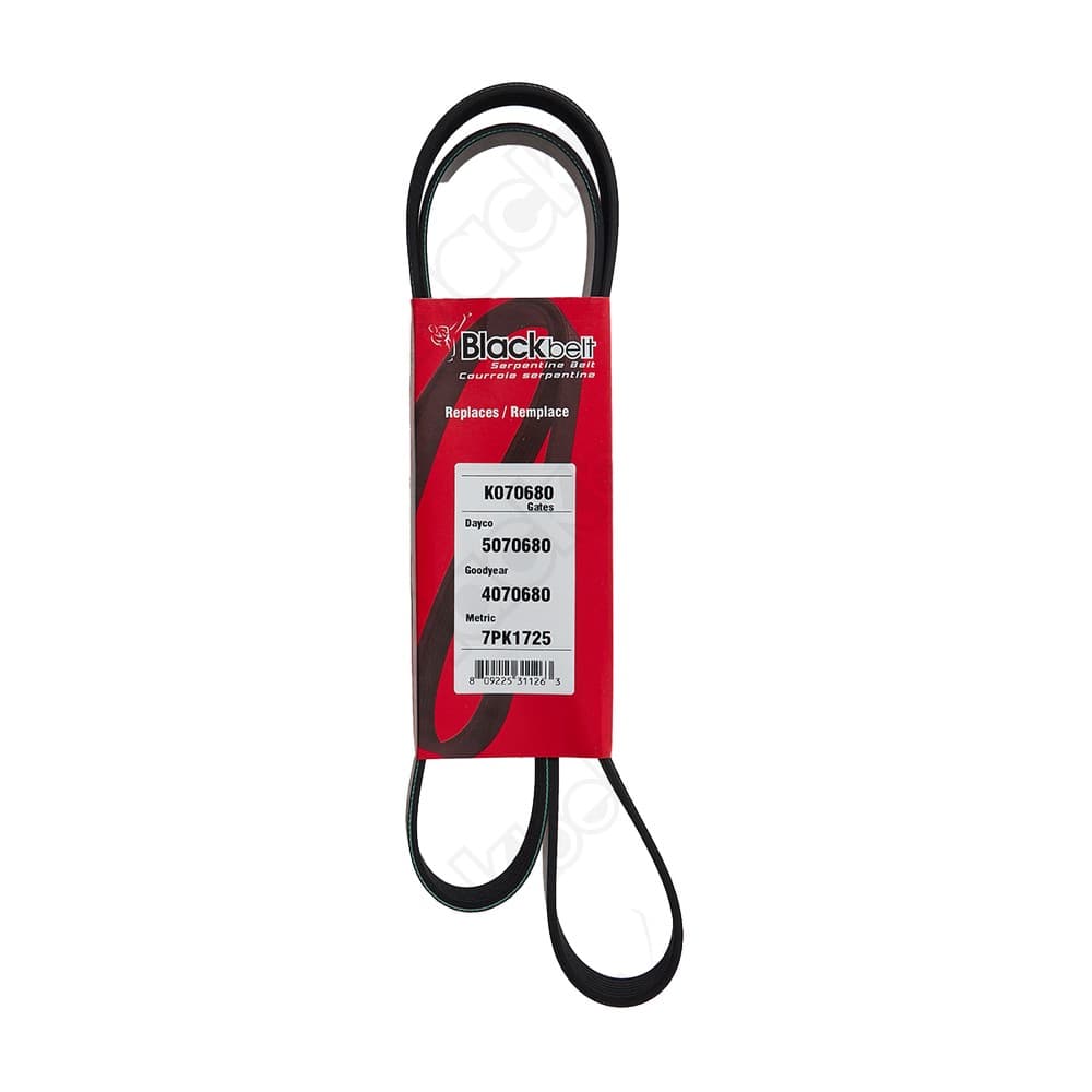 Serpentine Belt K070680
