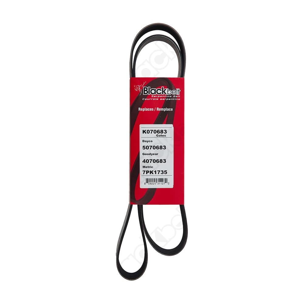 Serpentine Belt K070683