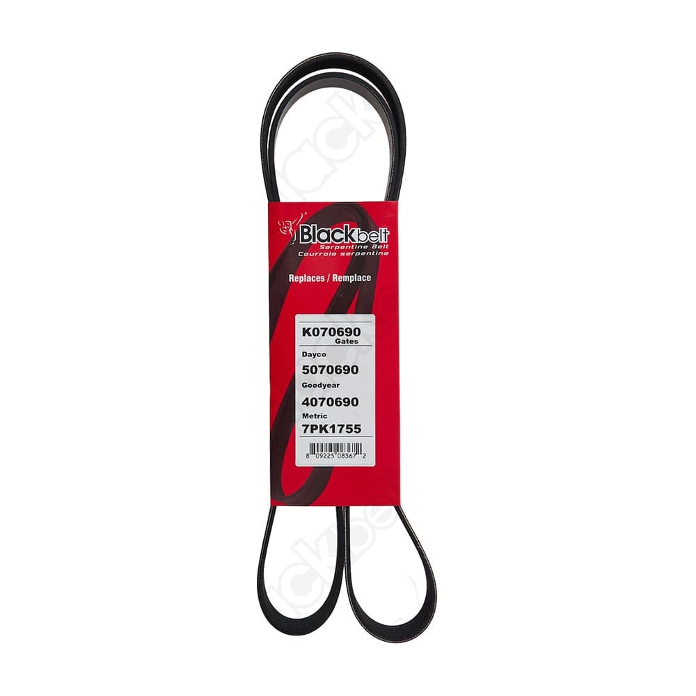 Serpentine Belt K070690