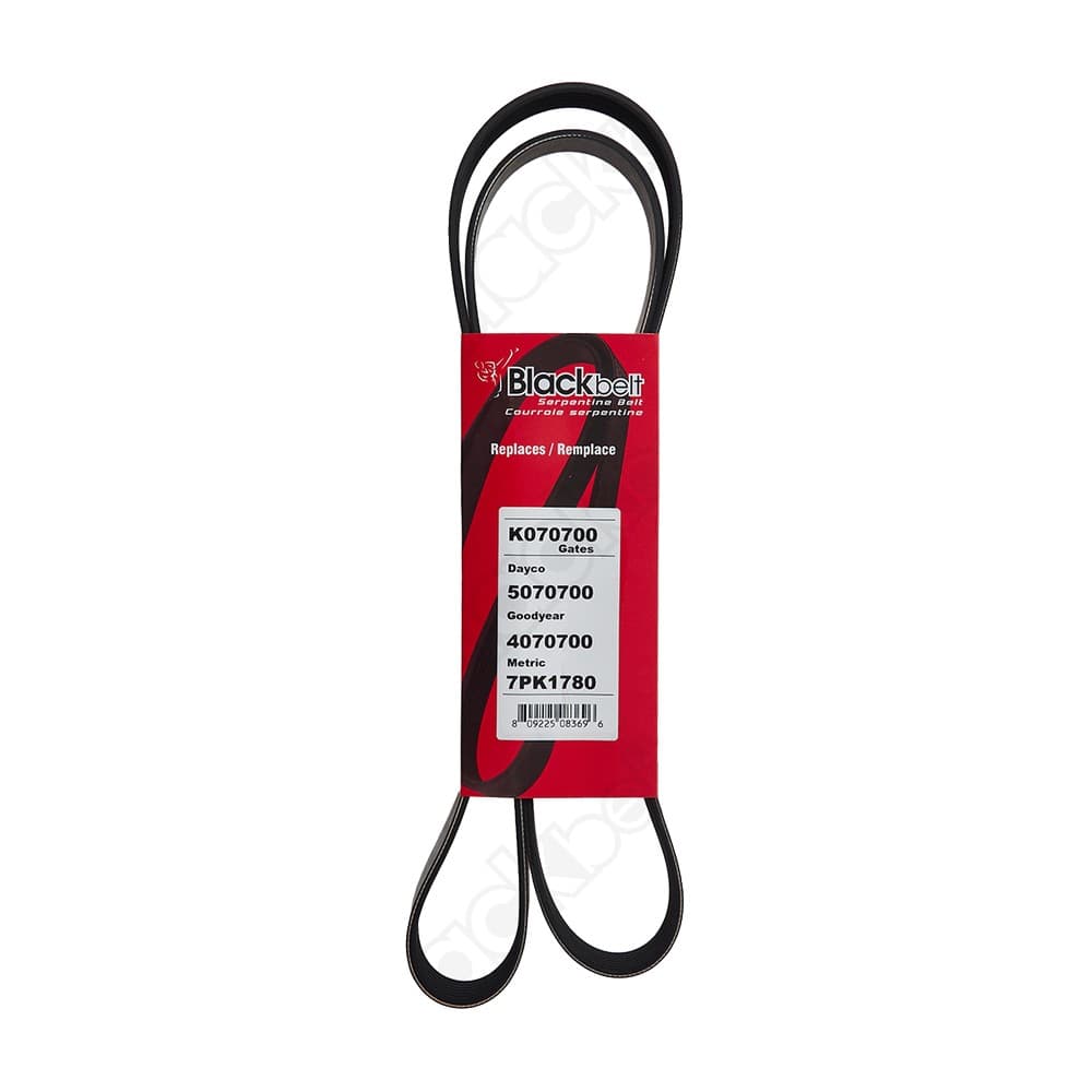 Serpentine Belt K070700