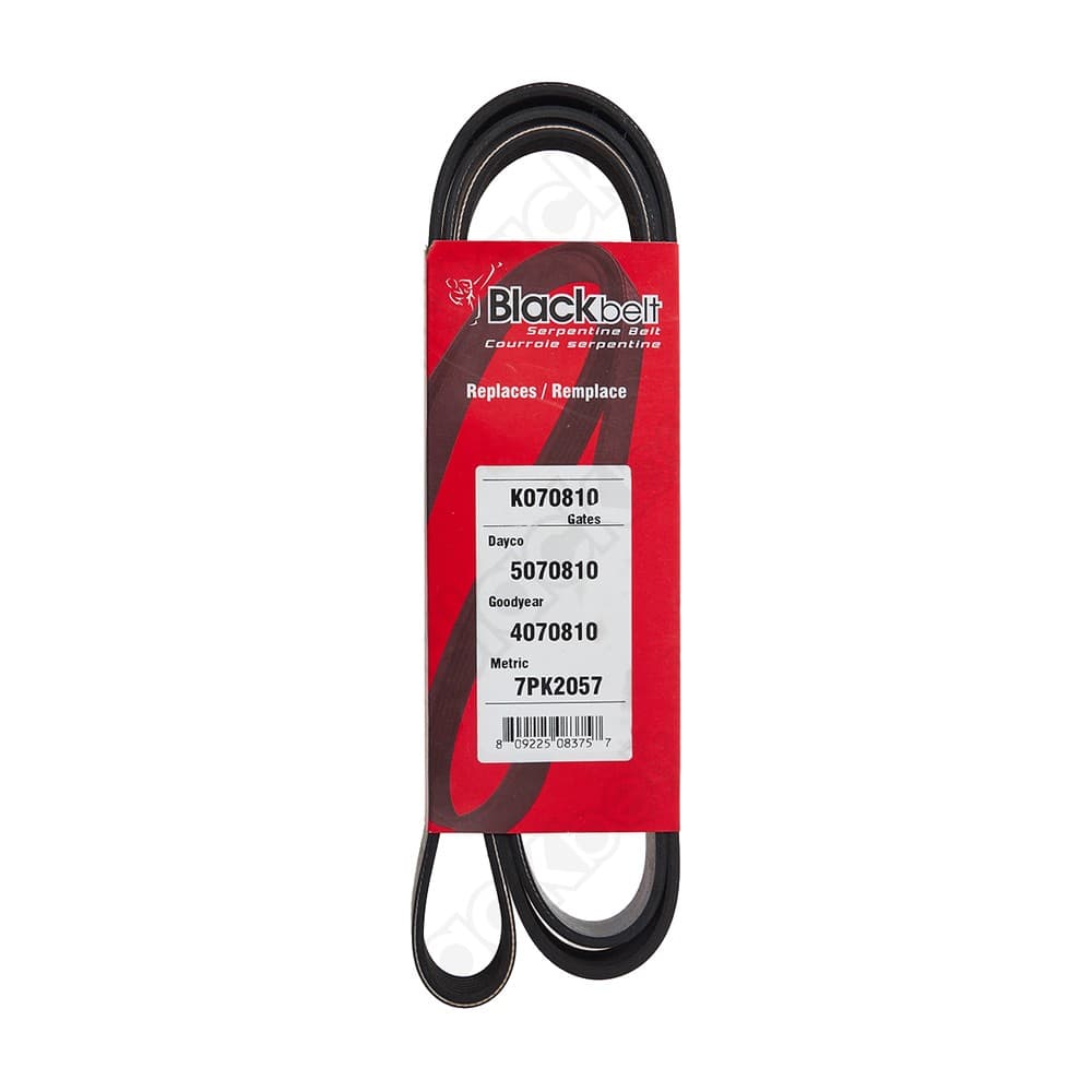 Serpentine Belt K070810