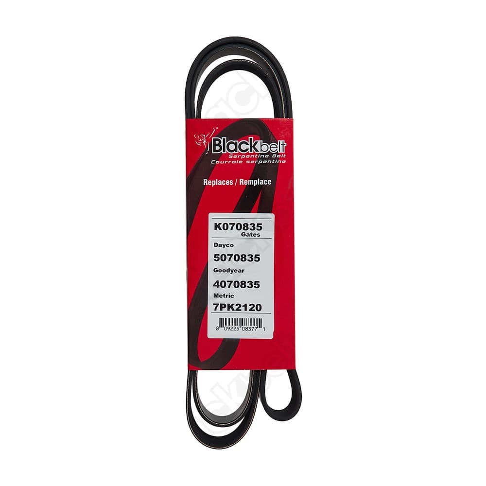 Serpentine Belt K070835