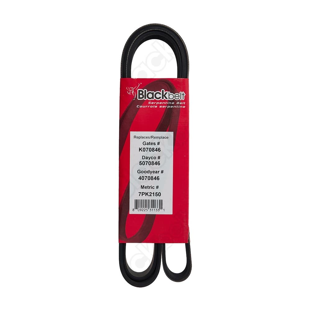 Serpentine Belt K070846