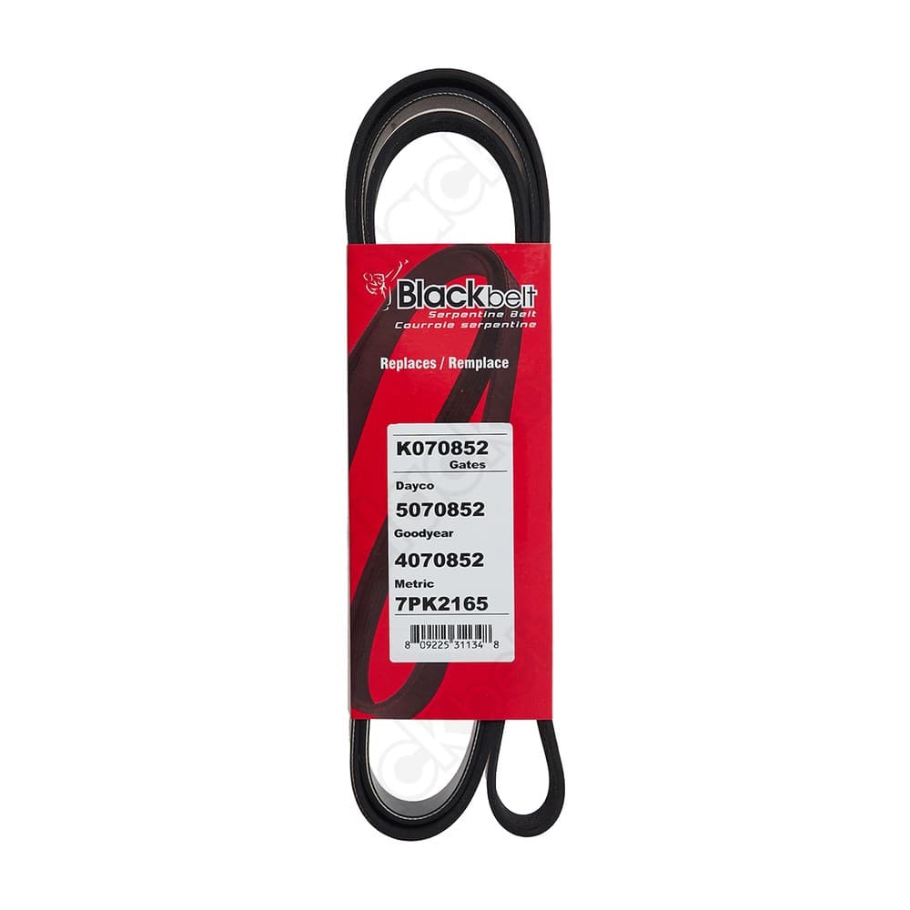 Serpentine Belt K070852