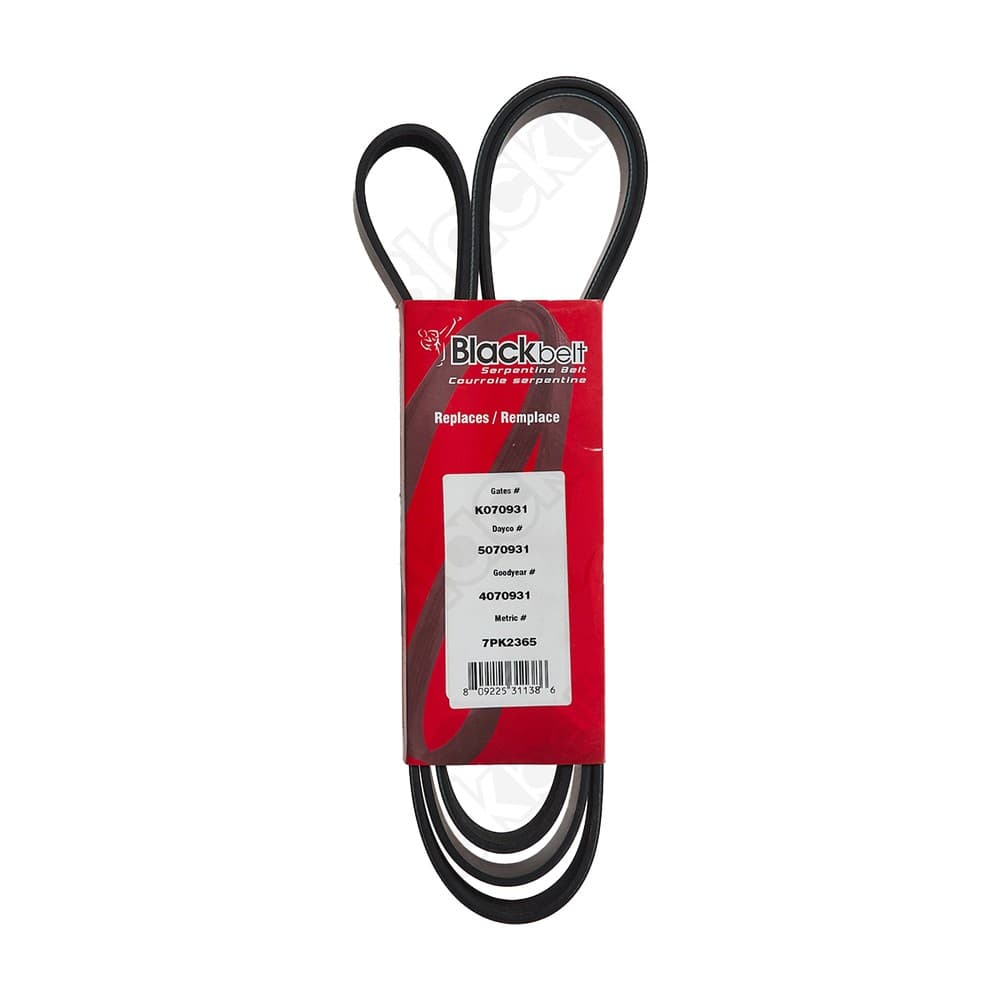 Serpentine Belt K070931