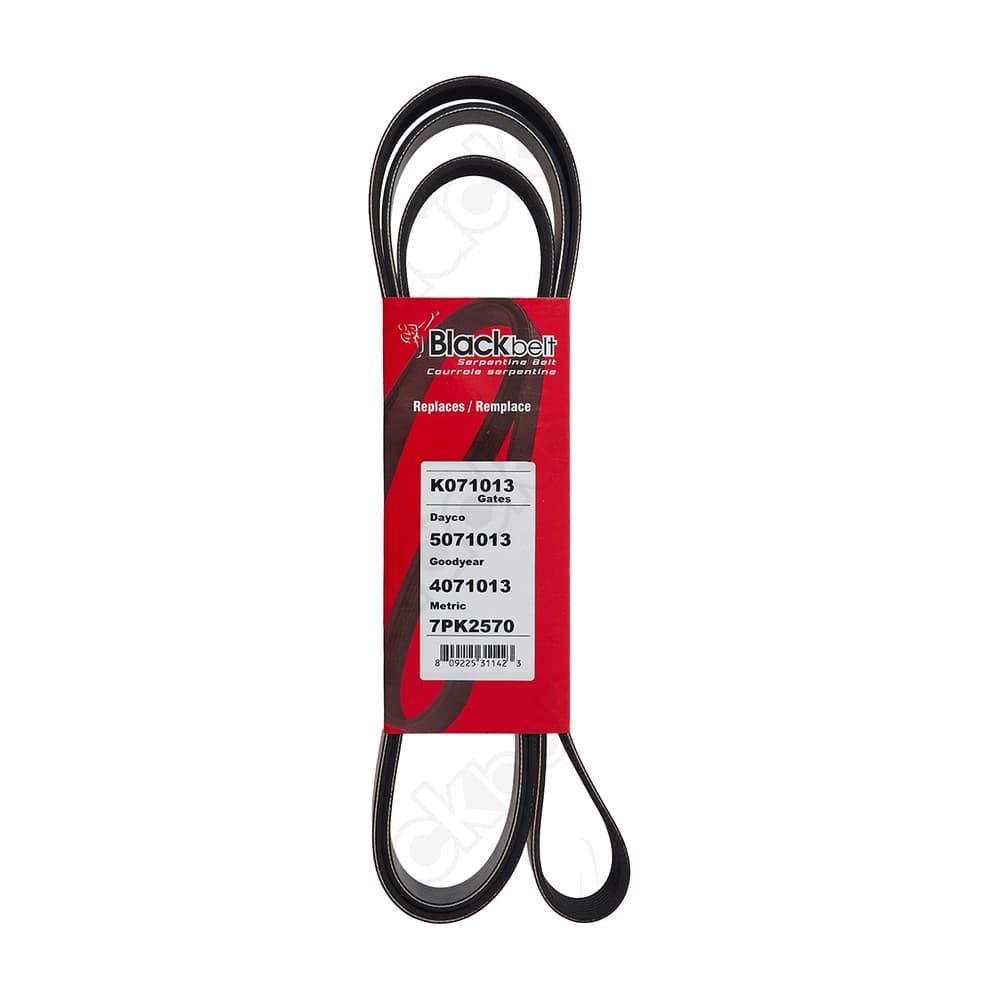Serpentine Belt K071013