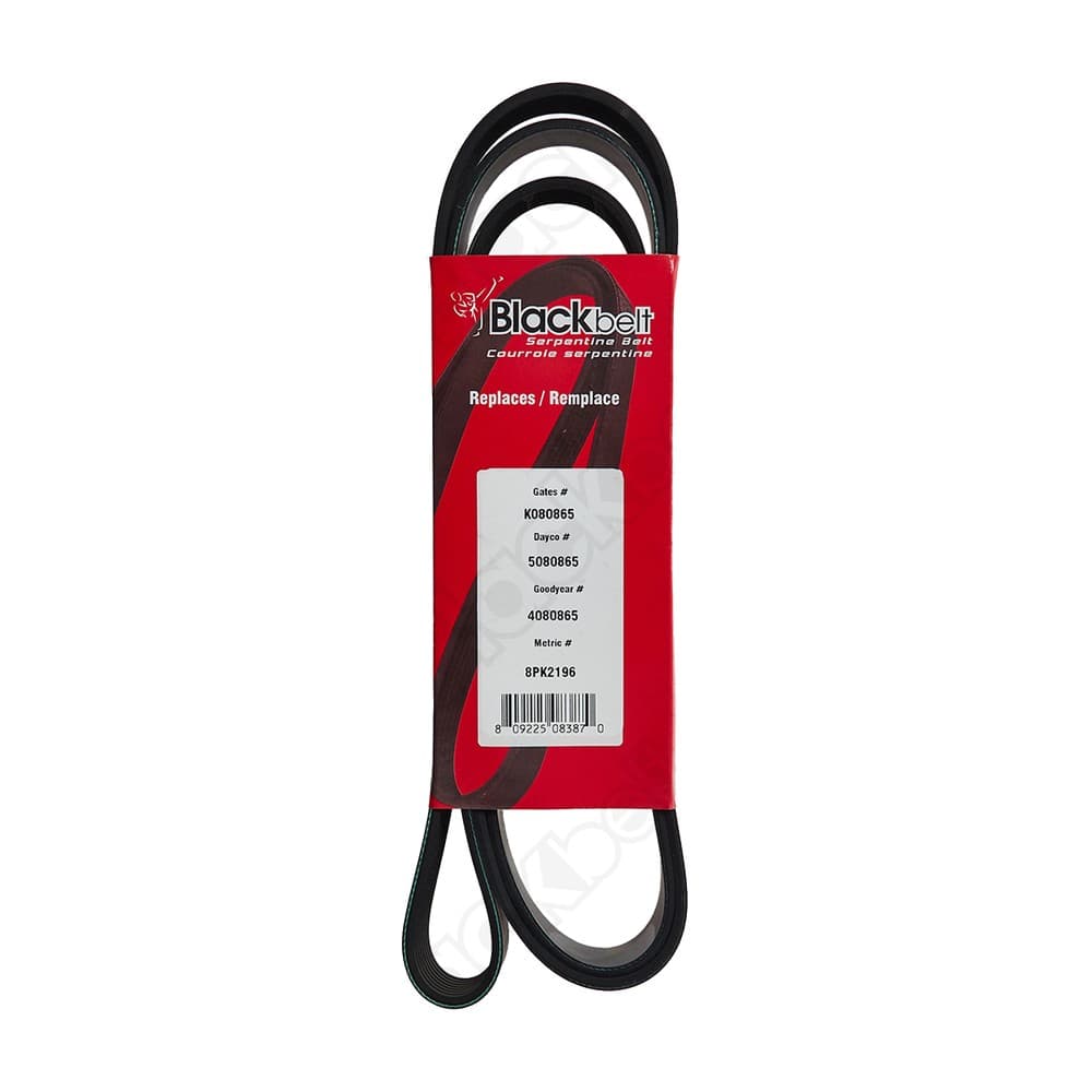 Serpentine Belt K080865