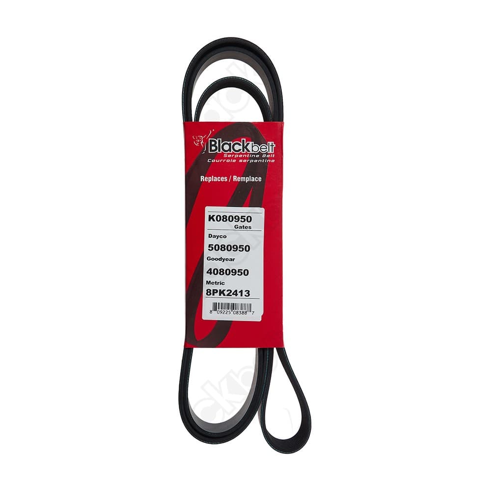 Serpentine Belt K080950