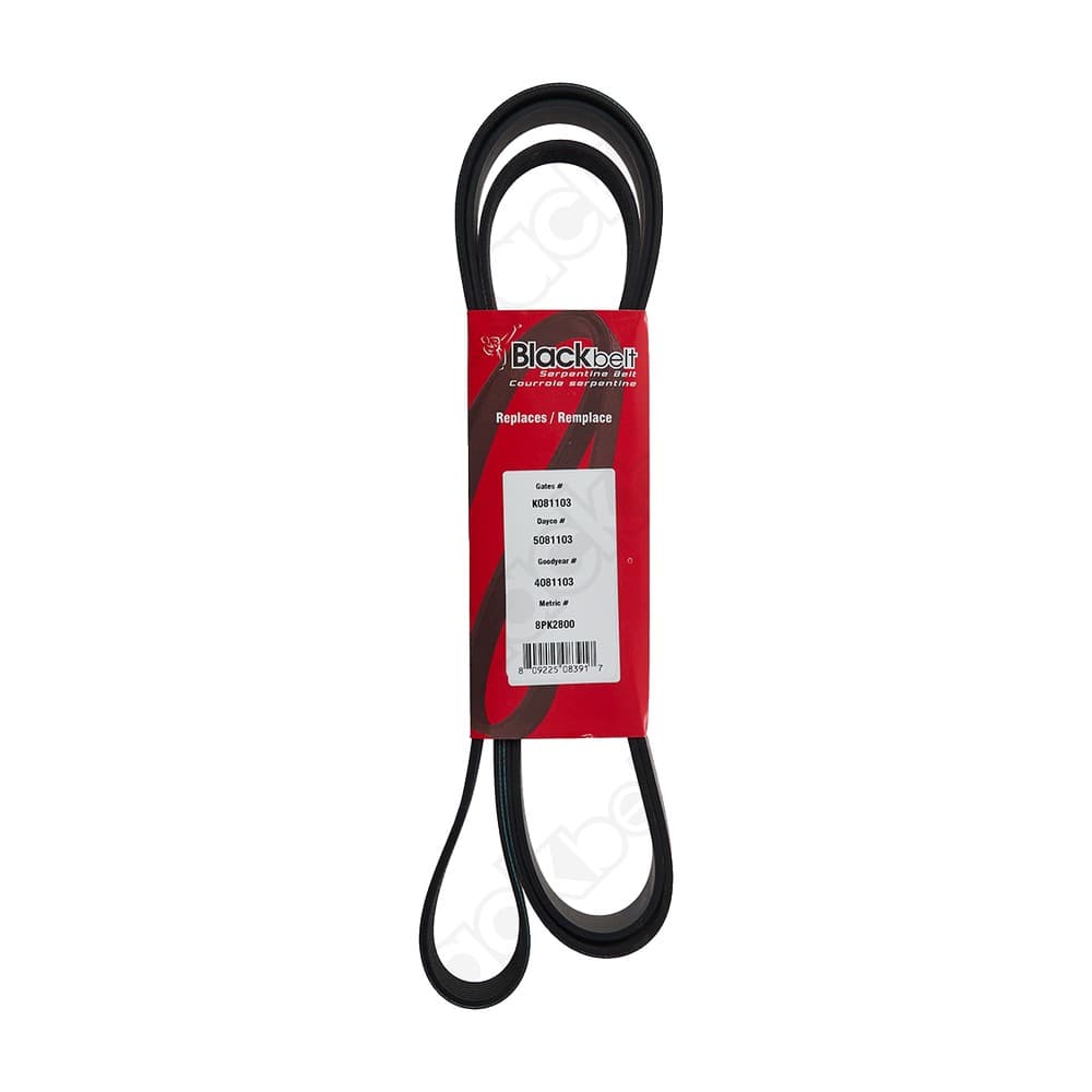 Serpentine Belt K081103