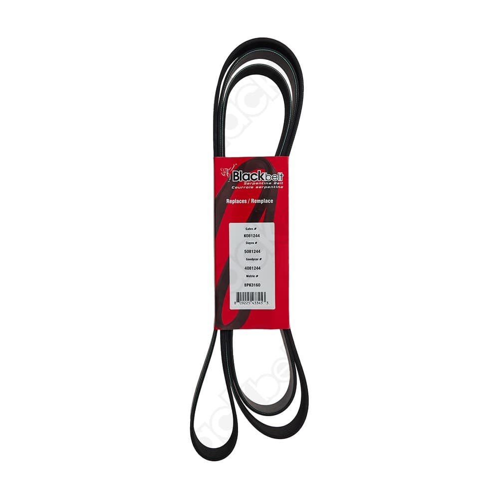Serpentine Belt K081244