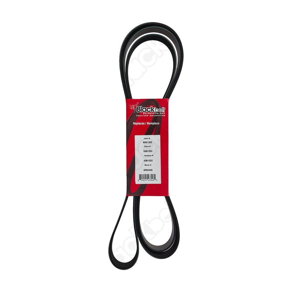 Serpentine Belt K081352
