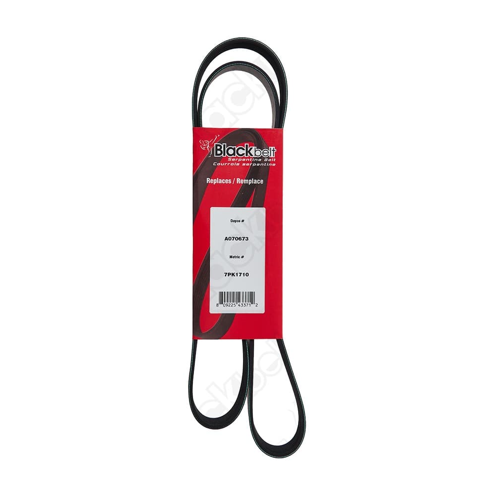 Serpentine Belt KA70673