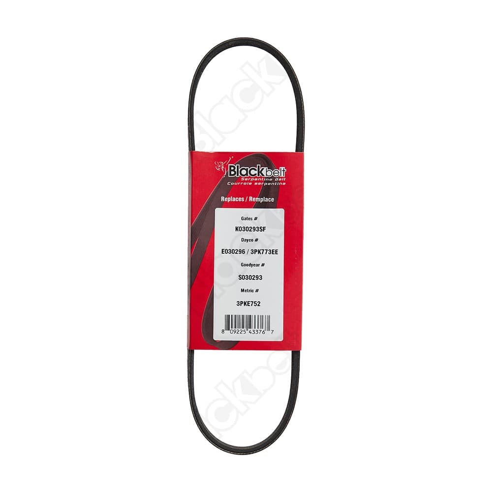 Elastic Serp Belt KE30296