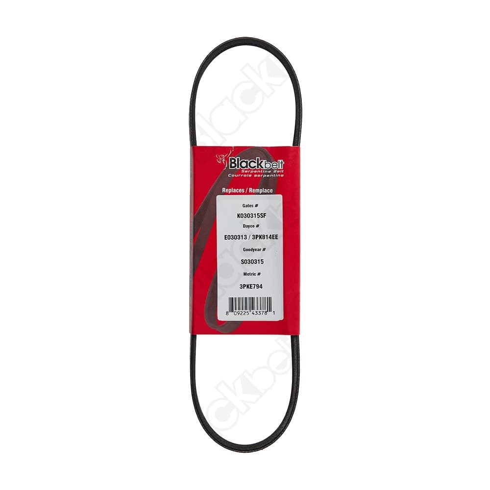 Elastic Serp Belt KE30313