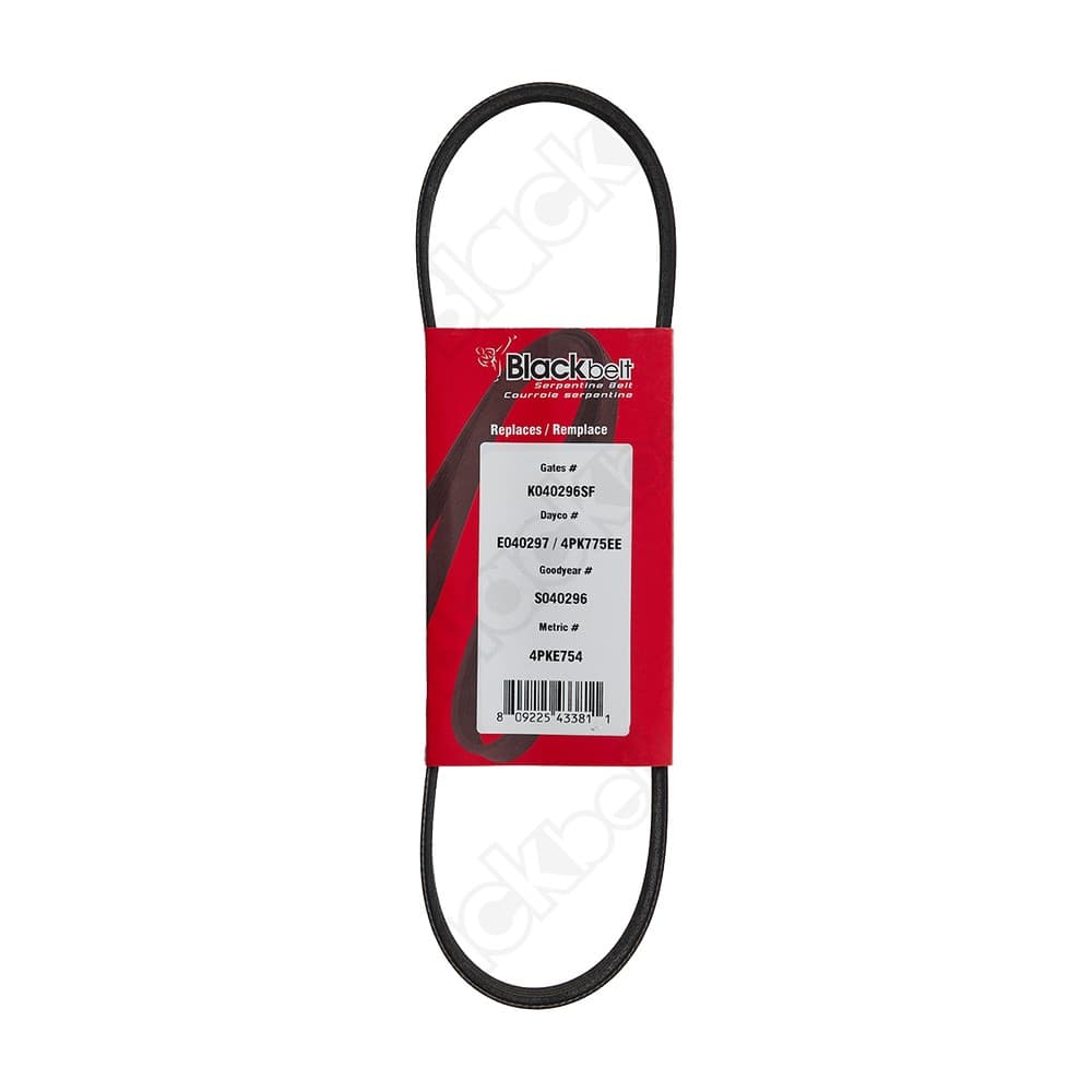 Elastic Serp Belt KE40297