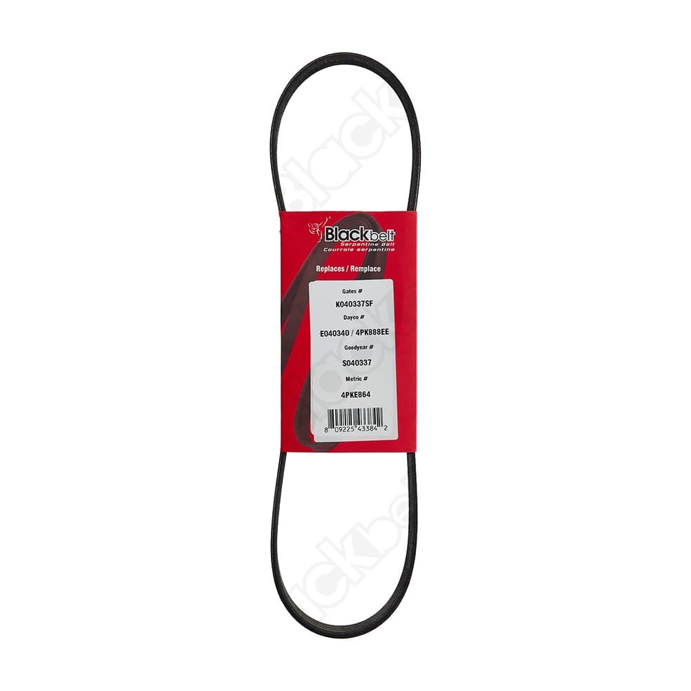Elastic Serp Belt KE40340