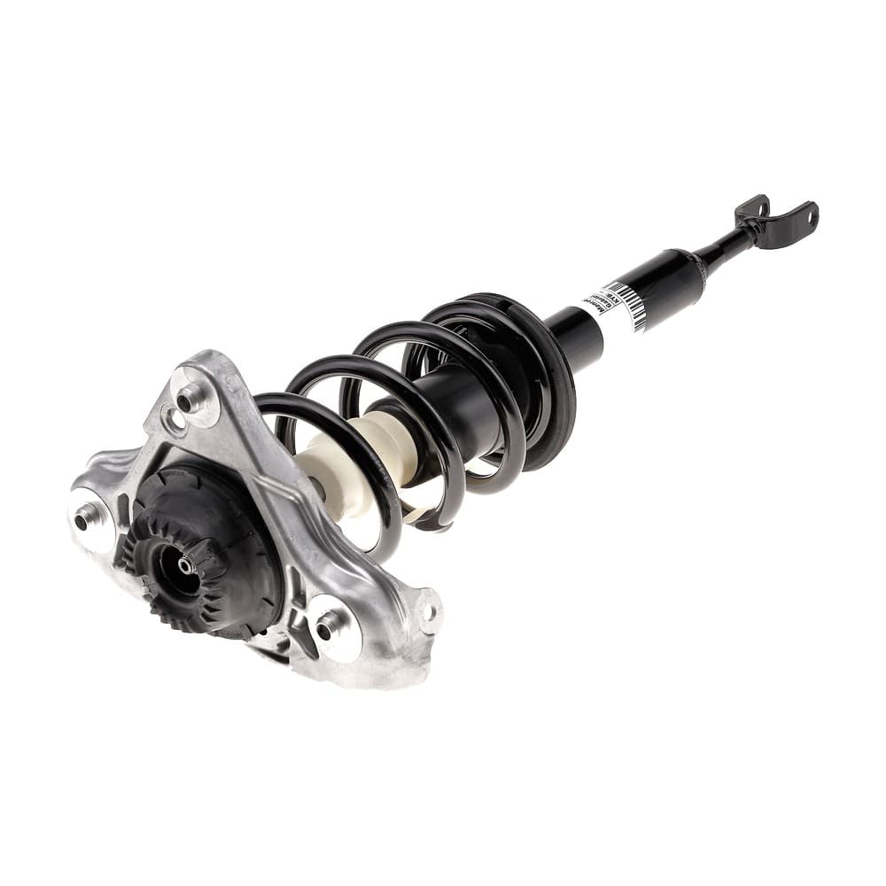 Complete Strut V11080