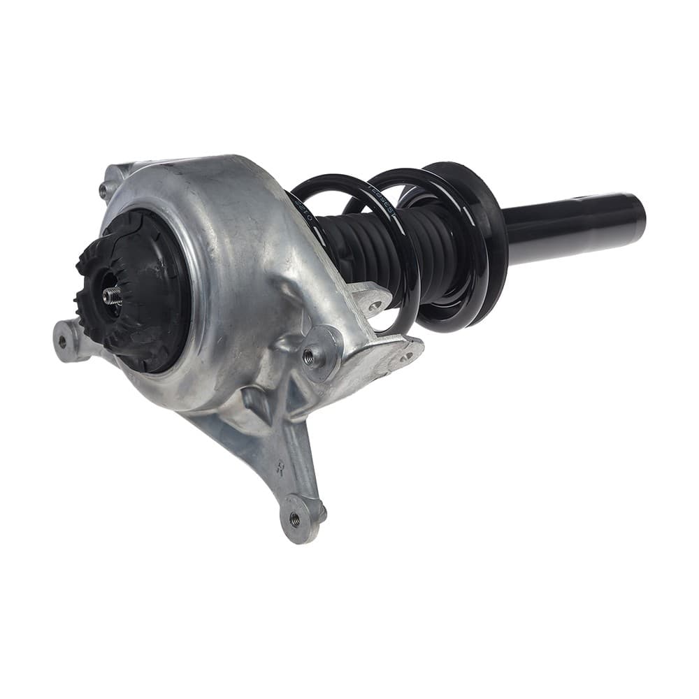 Complete Strut V11098