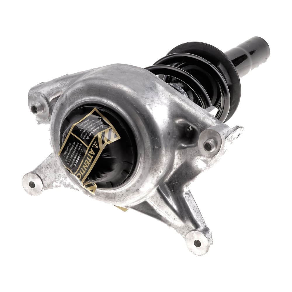 Complete Strut V11099