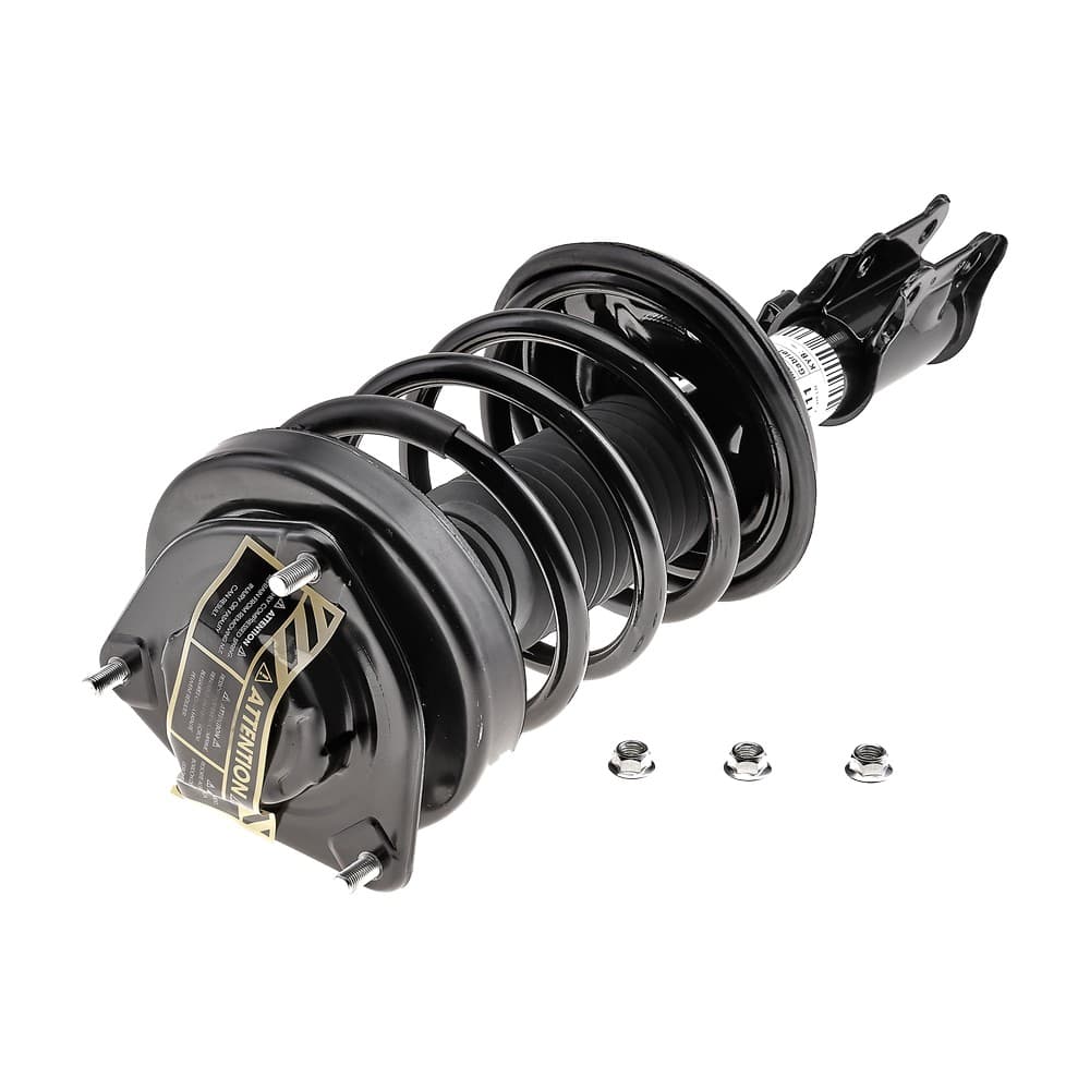 Complete Strut V11111