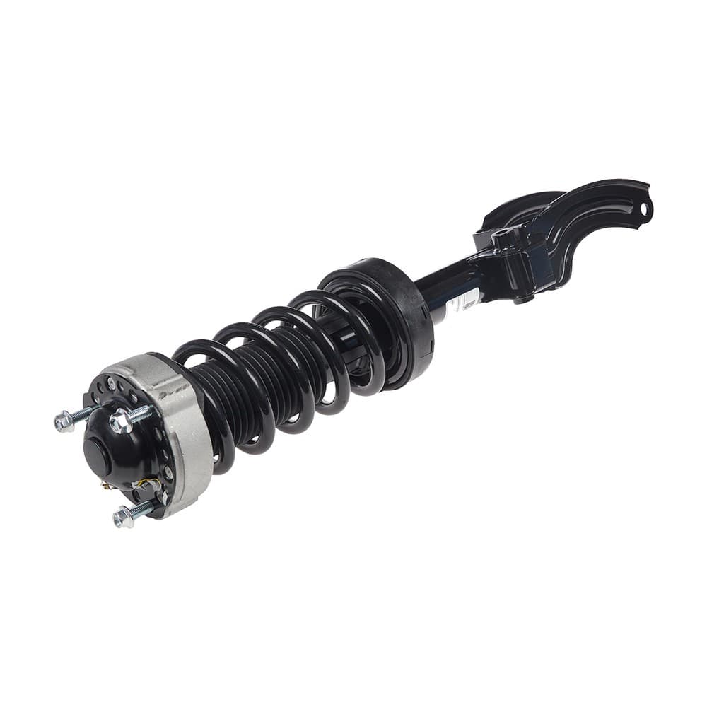 Complete Strut V11148