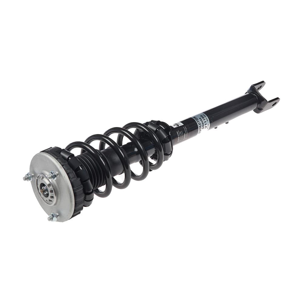 Complete Strut V11166