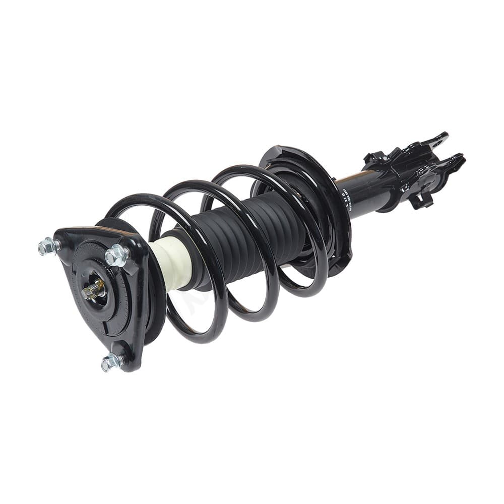 Complete Strut V11187