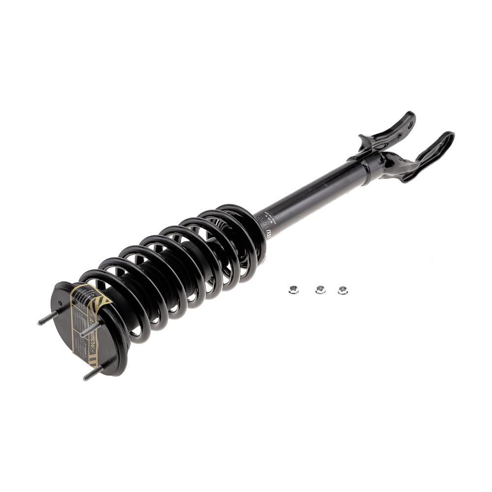Complete Strut V11213