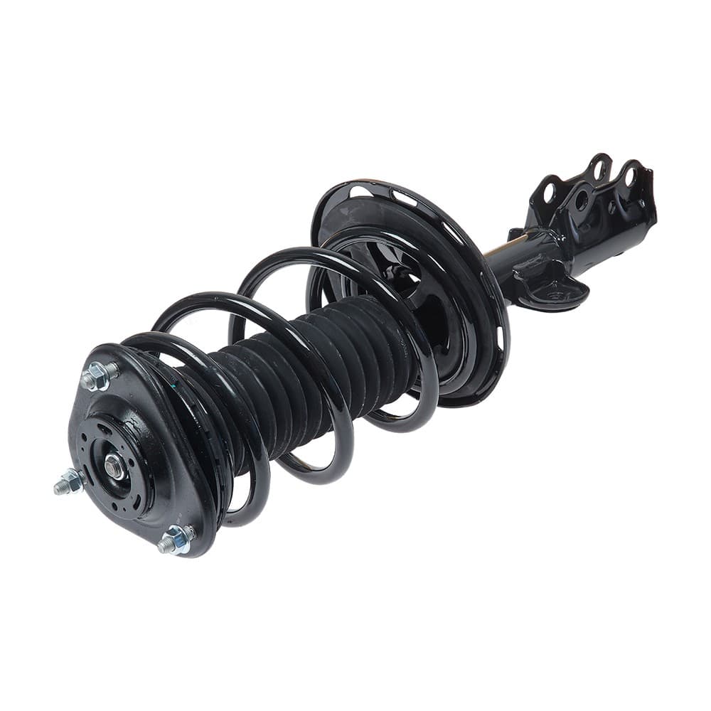 Complete Strut V11245