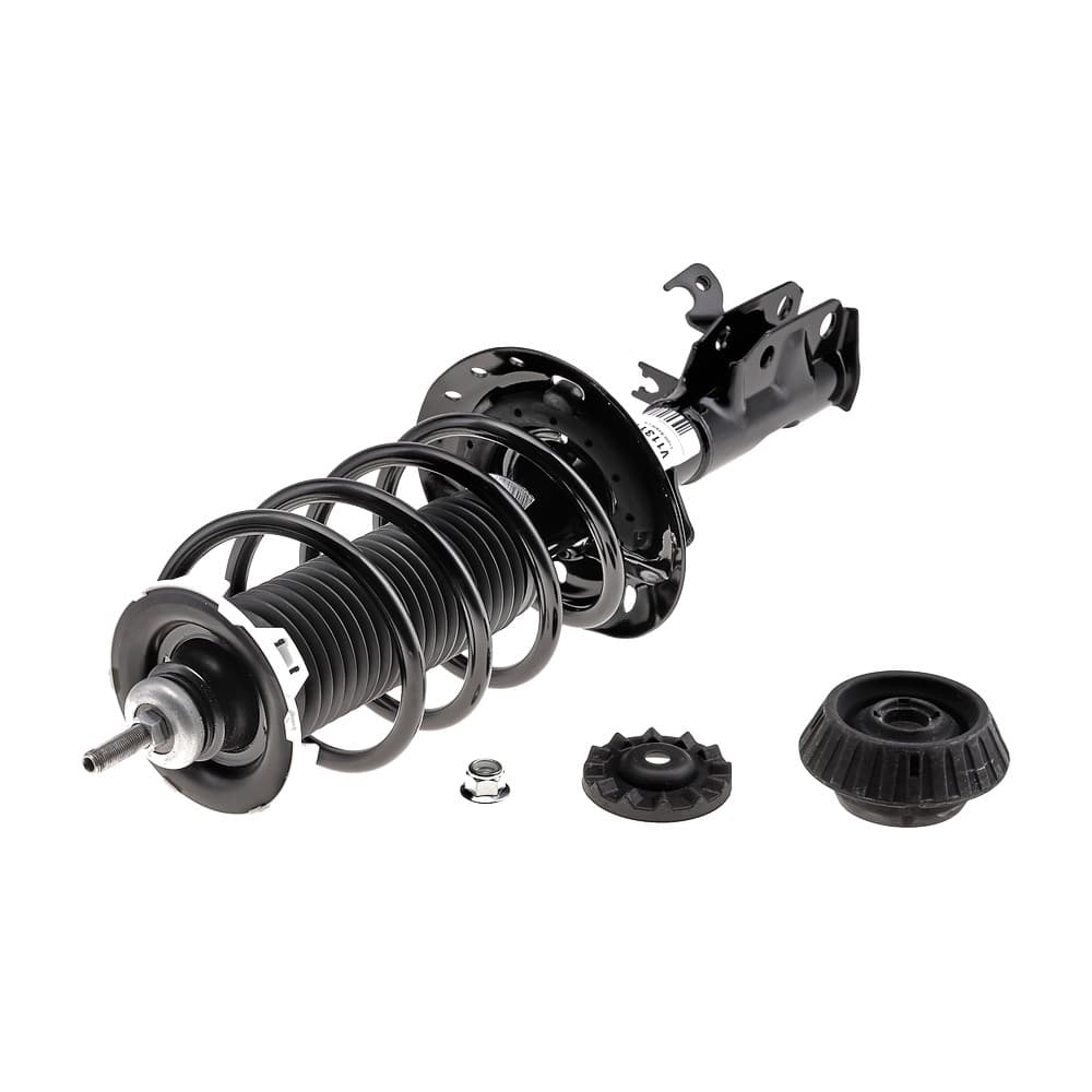 Complete Strut V11311