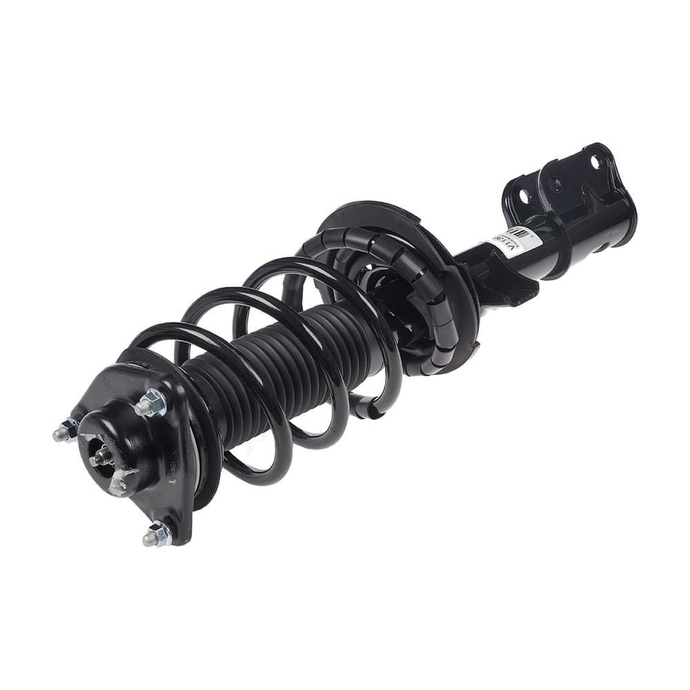 Complete Strut V11364
