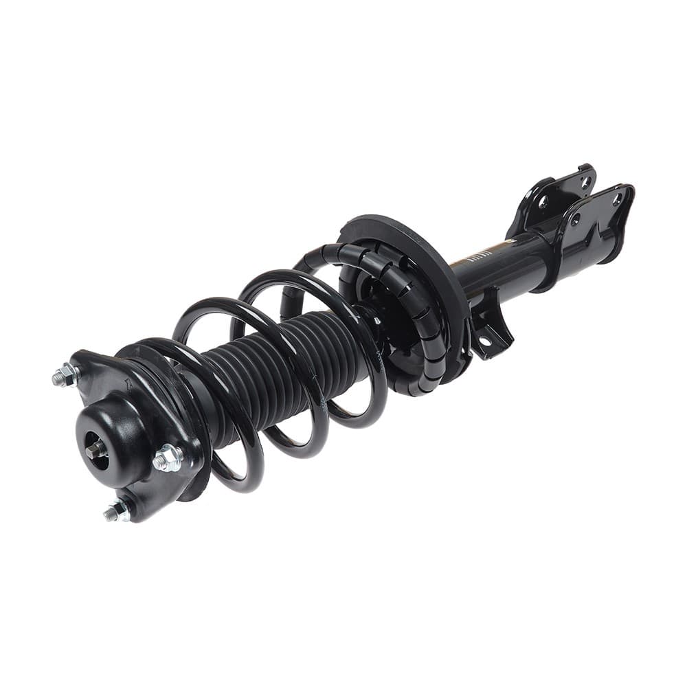 Complete Strut V11366