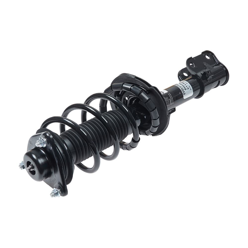 Complete Strut V11367