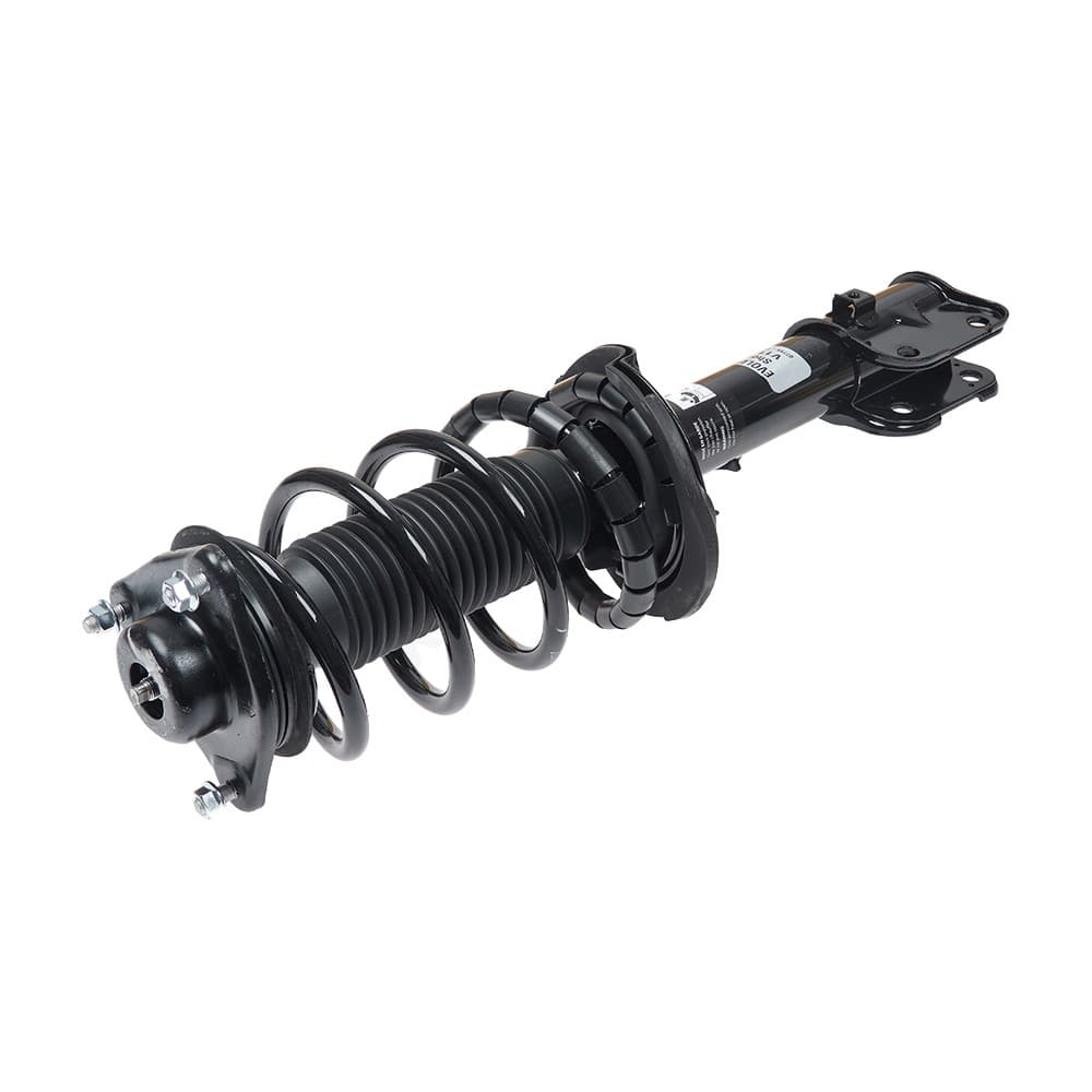 Complete Strut V11368
