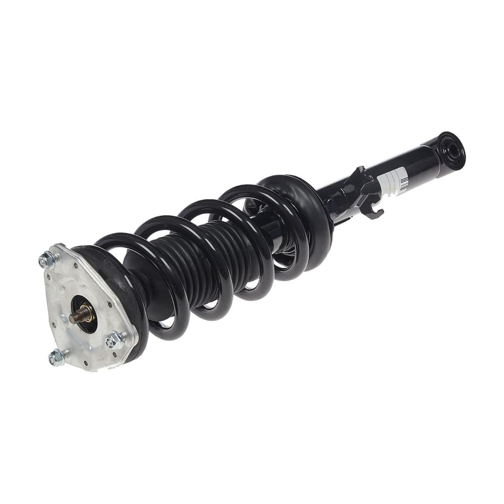 Complete Strut V11405