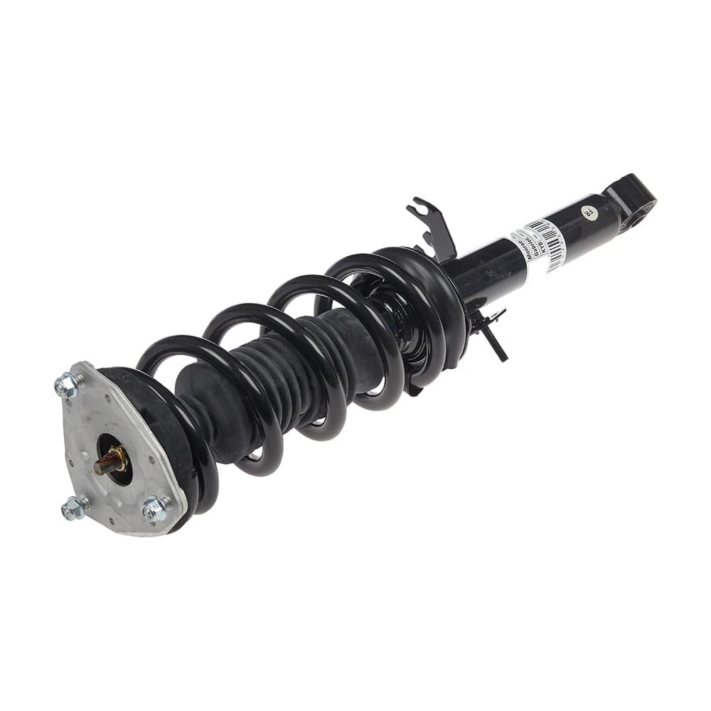 Complete Strut V11406
