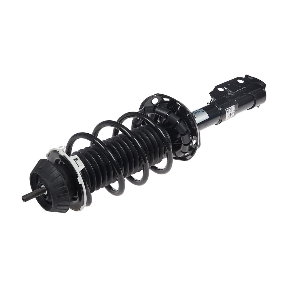 Complete Strut V11412